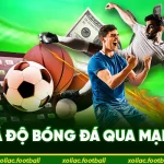 Cá độ bóng đá qua mạng