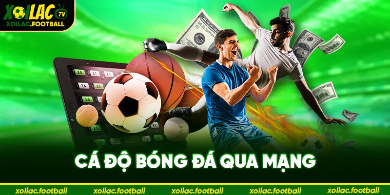 Cá độ bóng đá qua mạng