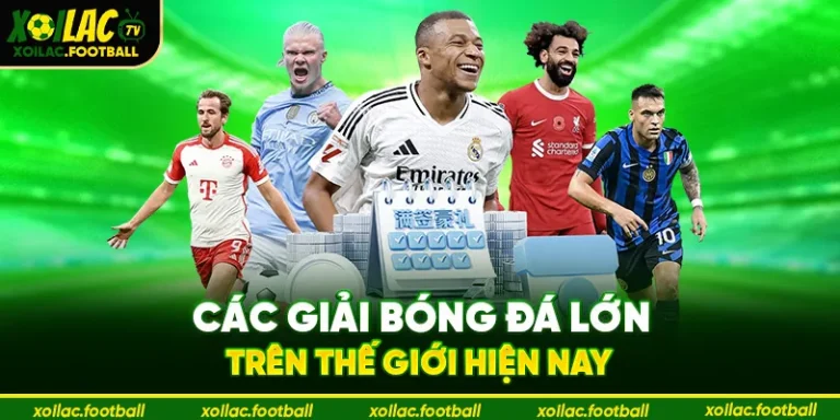 các giải bóng đá lớn trên thế giới hiện nay