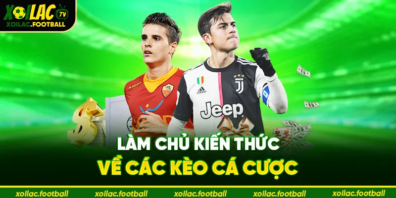 Làm chủ kiến thức về các kèo cá cược