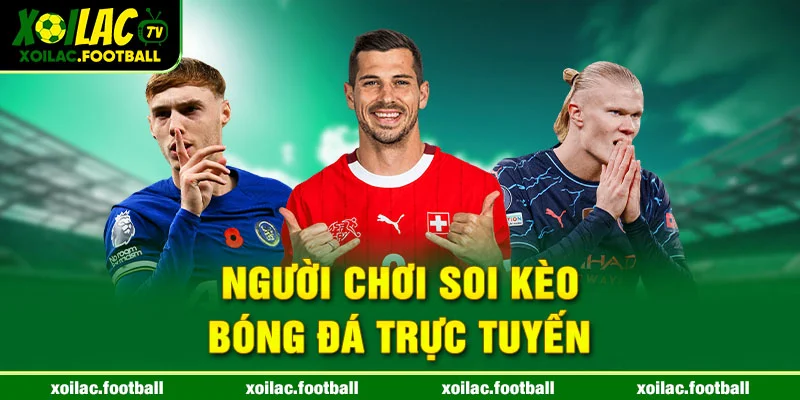 Người chơi soi kèo bóng đá trực tuyến