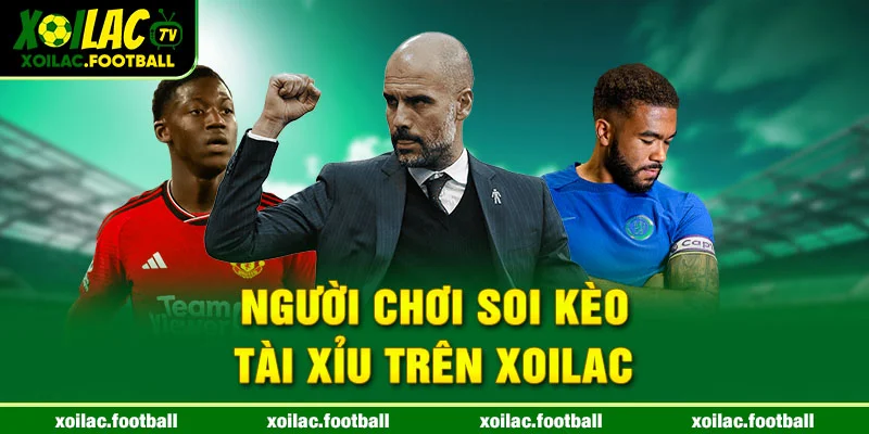 Người chơi soi kèo Tài Xỉu trên Xoilac