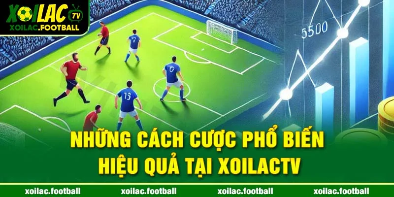 Những cách cược phổ biến hiệu quả tại xoilactv