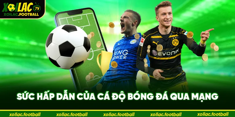 Sức hấp dẫn của cá độ bóng đá qua mạng